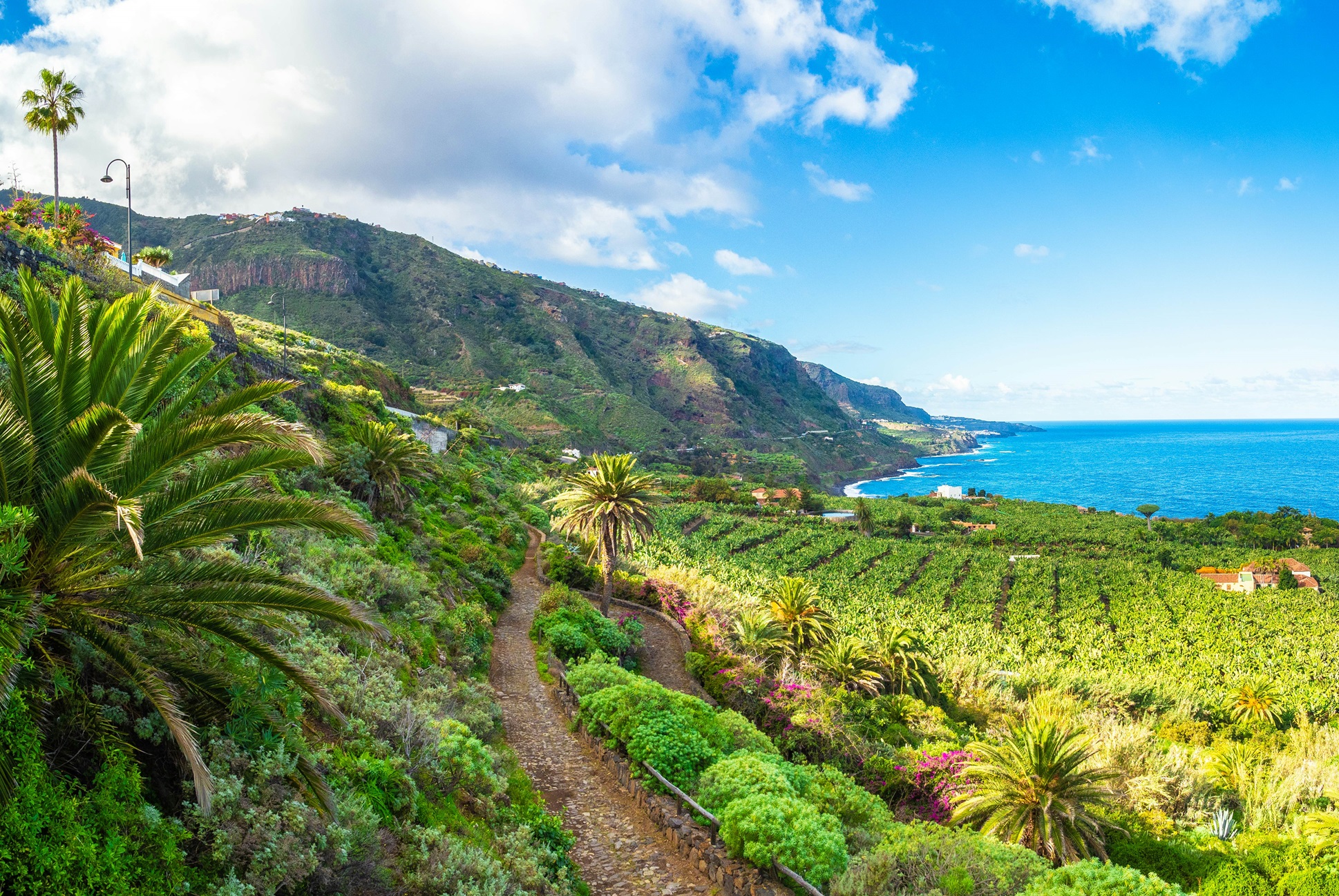 Tenerife Temptations: A Journey Through Time and Nature