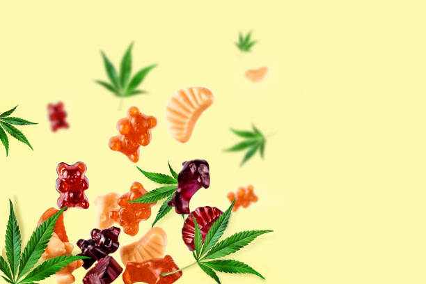 The Best Rated CBD Gummies for 2024 What You Need to Know