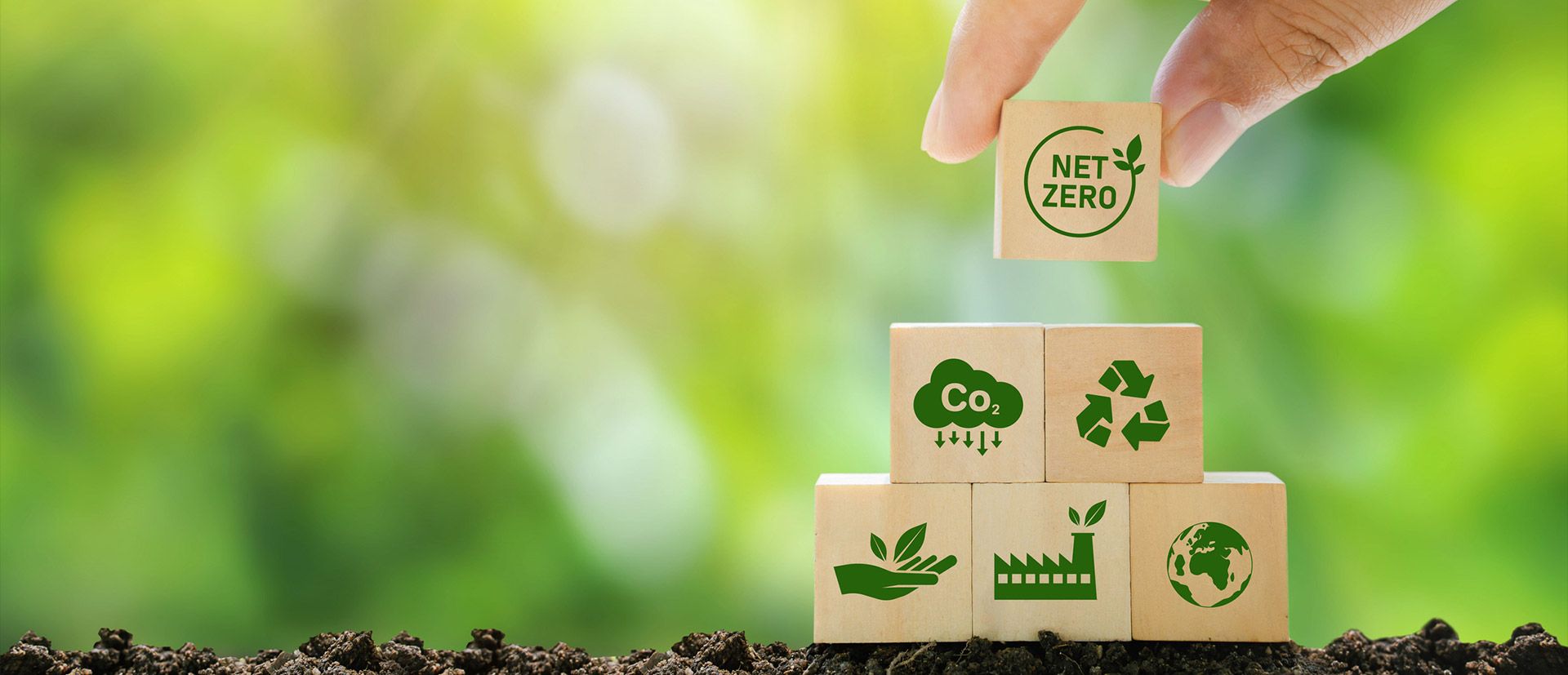 Living Sustainably Mindful Practices for Health and Environmental Wellness